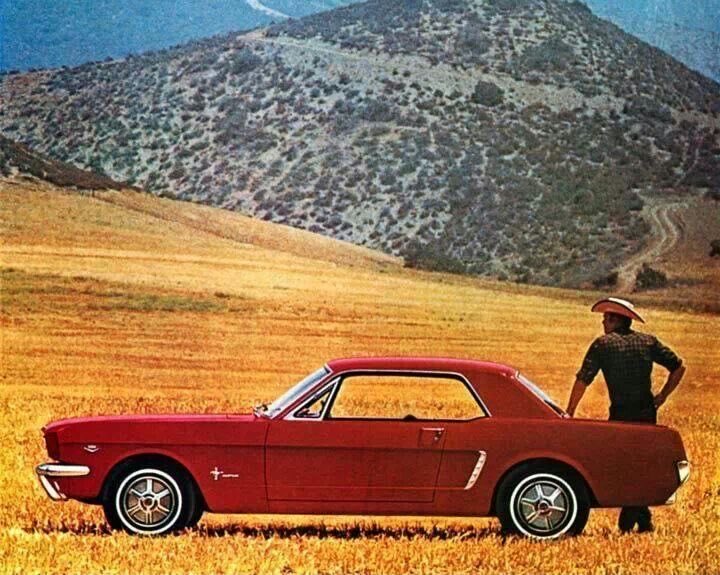 ClassicFords428's tweet photo. #Ford Mustang https://t.co/CAascrjHg9