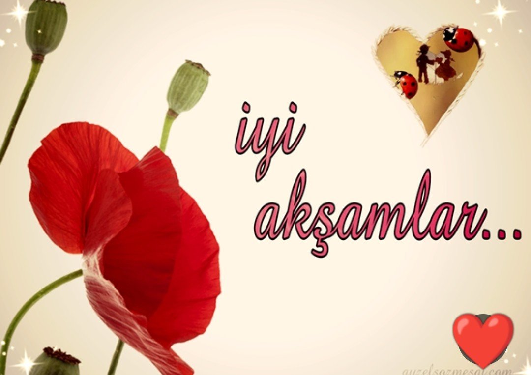 JessuJessu3590's tweet photo. @smailEr04693057 ❤️İyi hafta sonları💐🥰 https://t.co/9cywr7UGZi
