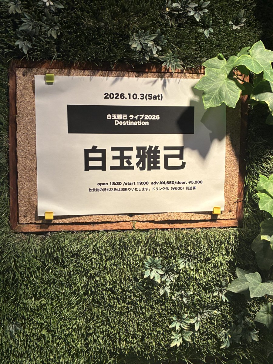 miorororo's tweet photo. 白玉雅己さんライブ2026
Destination
最高だった…。ライブをやってくれてありがとうございます。ライブがあることは当たり前ではなく、会いに行けること、聴きに行けることがどれだけ価値のあることか。素晴らしい時間でした。
またお願いします。 https://t.co/KEaXHekUs1