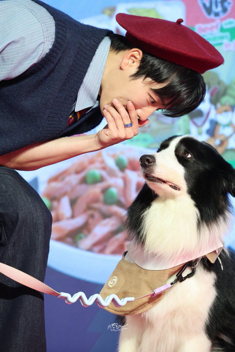 FijiMM_'s tweet photo. พี่เม่อตั้งใจทำงานก่อน เดี๋ยวป๊าให้กิน vif 🐶🤩

#warwanarat ; @warwanarat
#VIFxYinWarInPattaya
VIF YWZS AT DOG ENJOY https://t.co/jQJG61GOSI