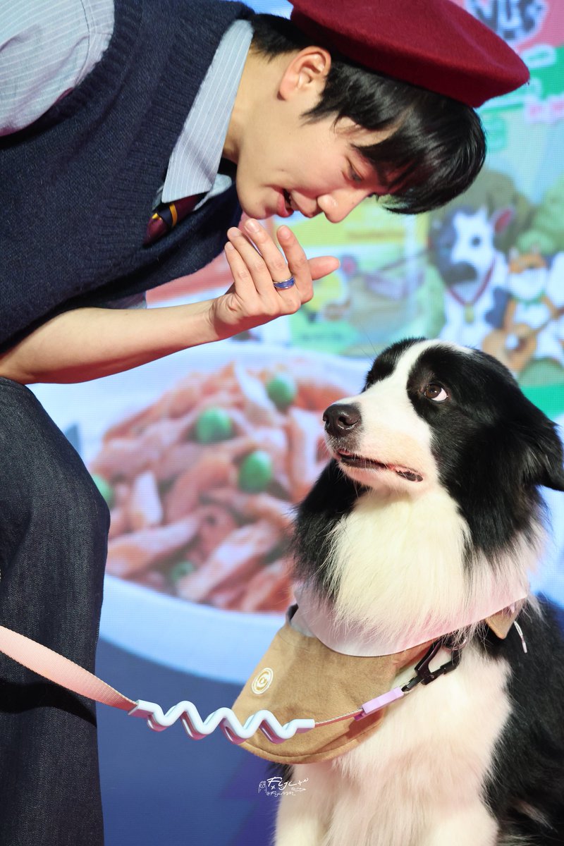 FijiMM_'s tweet photo. พี่เม่อตั้งใจทำงานก่อน เดี๋ยวป๊าให้กิน vif 🐶🤩

#warwanarat ; @warwanarat
#VIFxYinWarInPattaya
VIF YWZS AT DOG ENJOY https://t.co/jQJG61GOSI