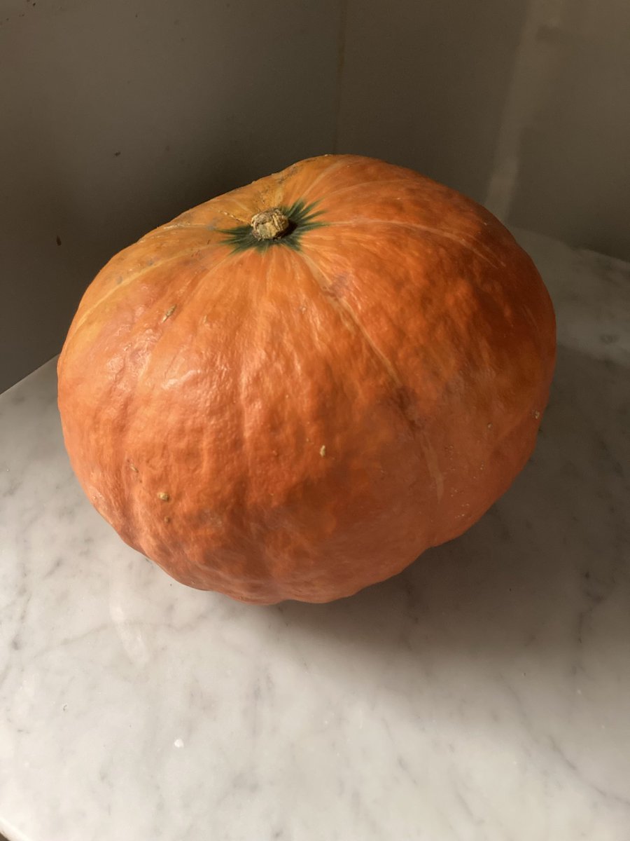 KnodesT's tweet photo. 10月の予定です

秋の味覚目白押しです。 https://t.co/SgfY0Pj0C1