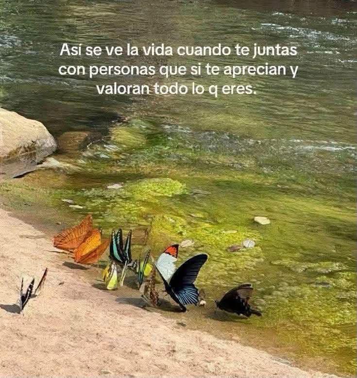 angelo_uf's tweet photo. https://t.co/3mkmQWJ4Ub