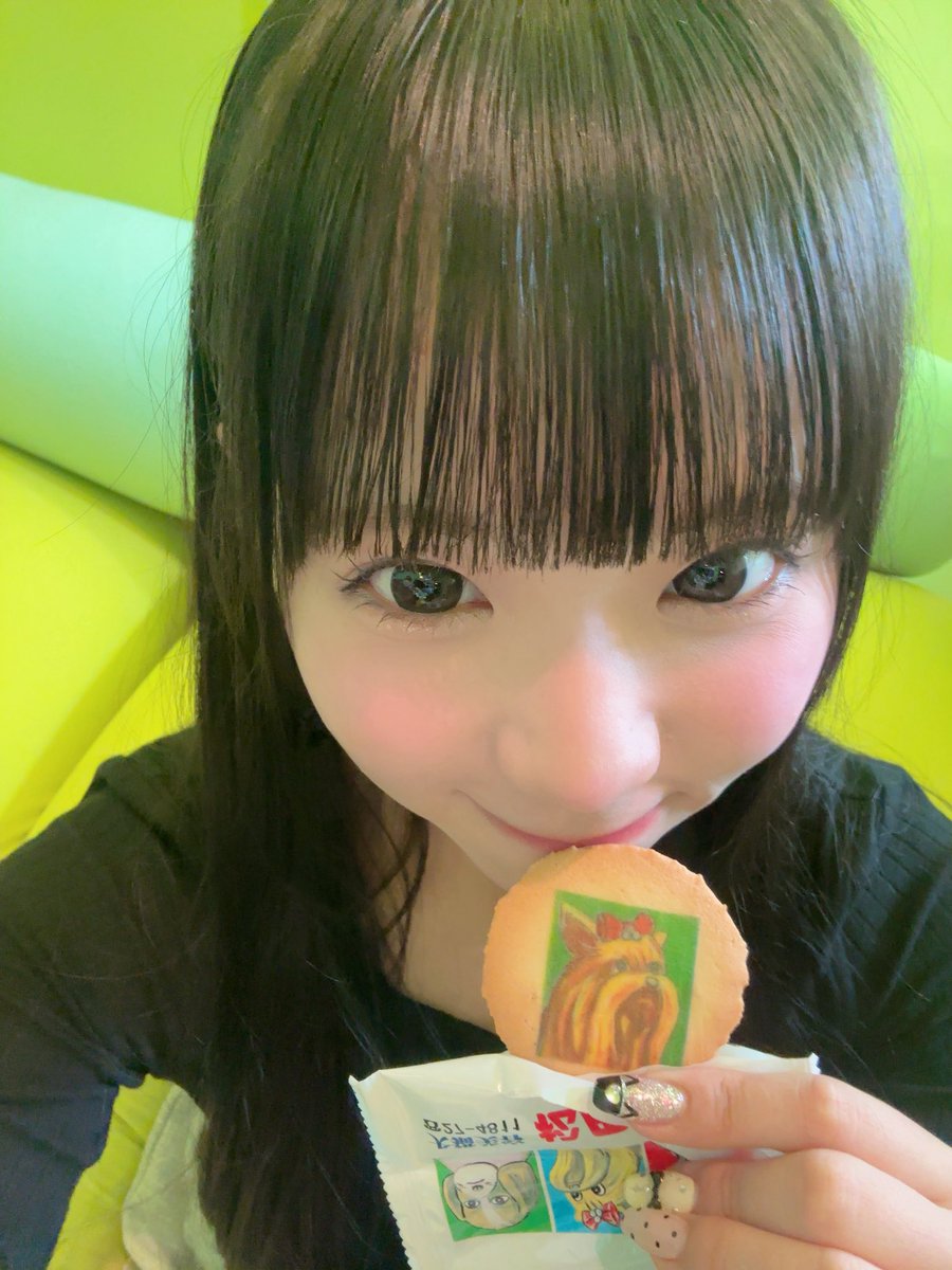 non_kitty_z's tweet photo. 今日もお疲れ様だよ꒰⁔՞•⤙•՞⁔꒱ﾓｯﾓｯ
レコーディングした時にいただいたクッキー🍪💛ｵｲｼｲ

10/18デビューライブのSチケ🎟の抽選が明日までです！！！
チケットまだの方、迷ってる方もお早めにゲットしてね❣️⸜(๑‘ᵕ‘๑)⸝*
より近くでKitty_zちゃん見てくれたら嬉しいです.ᐟ.ᐟ🥺💛 https://t.co/iULEA6bOpY