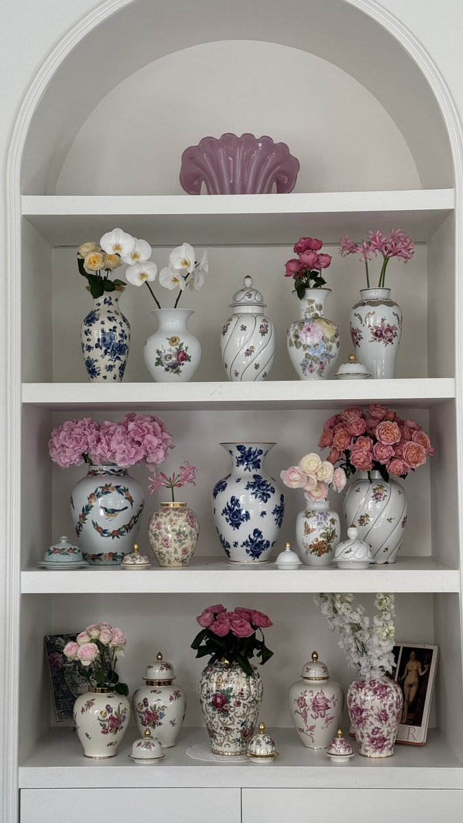 Paws_Natures's tweet photo. Beautiful shelf https://t.co/STEKEivbl5