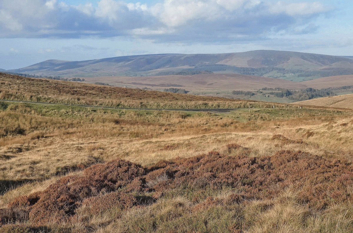 RossBishop77's tweet photo. A crisp autumn day for my hike on Grindleton Fell in the @forestofbowland https://t.co/GUDHqjGqx1