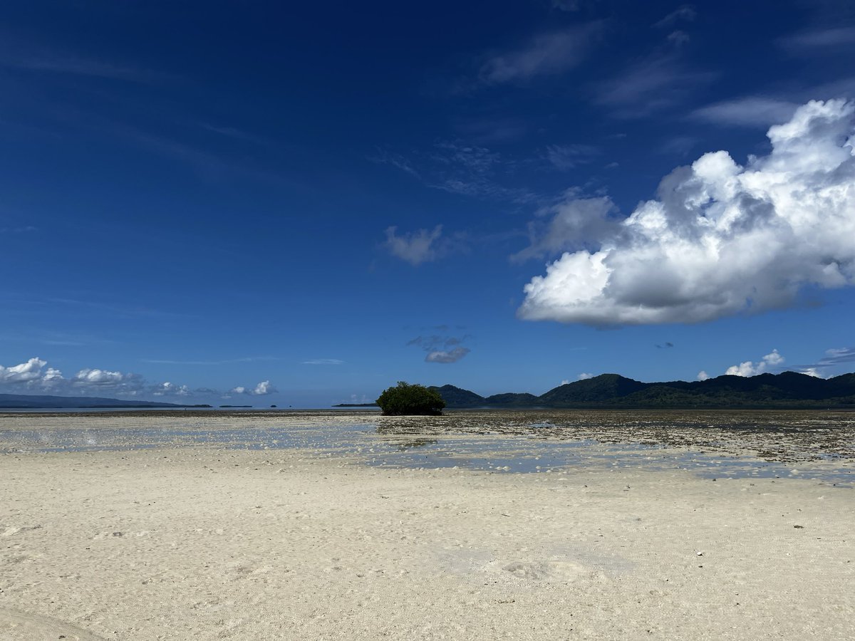 B_Duresi's tweet photo. #WhiteIsland #ARoB #PapuaNewGuinea https://t.co/PdjdpdQb4B