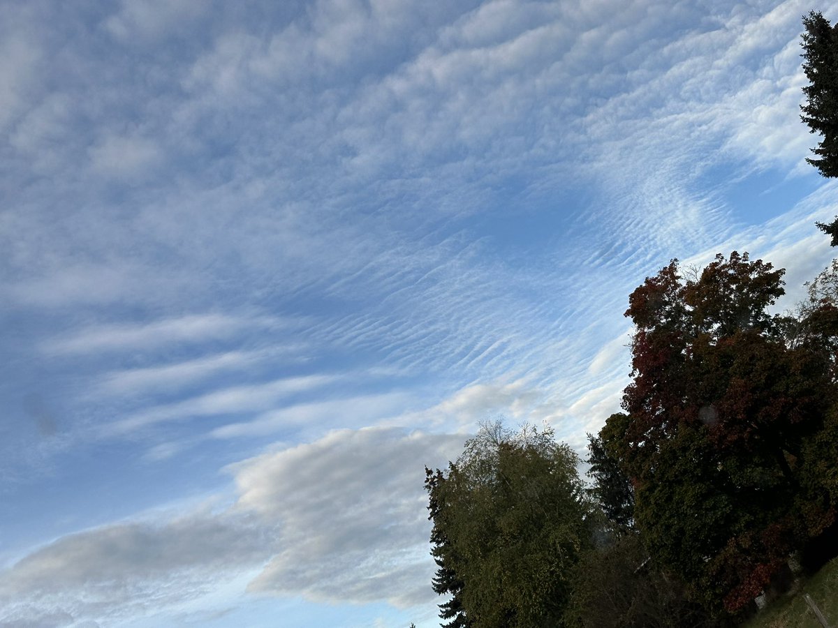 VoteTisha's tweet photo. Most all of the clouds I see now don’t look like what they were when I was a child. #geoengineering #Idaho https://t.co/4ztlFH2uj5