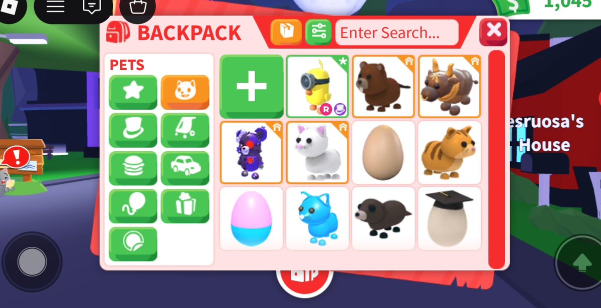 RGrabriel64855's tweet photo. @yanatradess Are these pets rare to you? I don't know so lol https://t.co/CwoWJhZxtJ