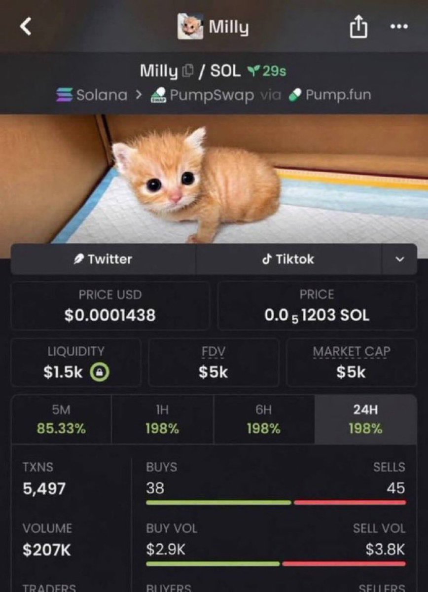 AlphaPulsevw's tweet photo. 💎 $MILLY is sitting at just $5K MC

Tiny market cap, early stage, and now on my radar. I���m watching the activity closely to see how this one develops.

Follow for more low-cap research. Private radar access is through my profile.

FPUDkQBAMYVzbg7Rmfr83bVTUKoZ7yoGHLQZLvMvfsC7 https://t.co/O6B8l7uyMm
