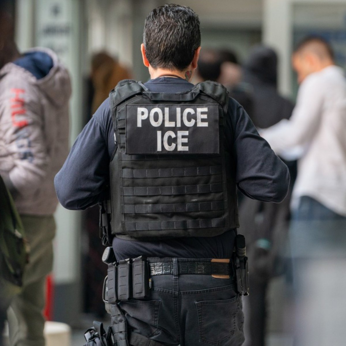 updatecharts's tweet photo. Brasileiros estão com MEDO de votar nos Estados Unidos e serem DETIDOS pelo ICE, segundo a CNN Brasil. https://t.co/qKd53awulA