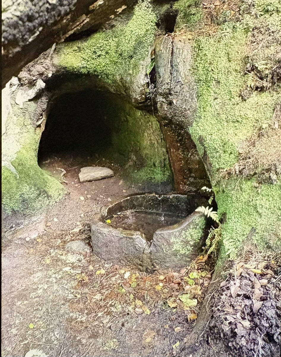 Elleaay3u's tweet photo. Make a wish. A beautiful wishing well in Cheshire (Alderley Edge ) 
#alderleyedge #cheshire #knutsford #wishingwell https://t.co/YoL1vmvEey