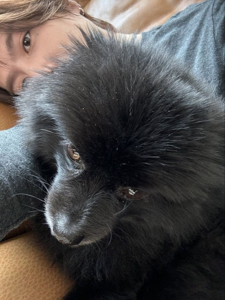 peploi's tweet photo. 😶‍🌫️🌼🤏😊 
#YUGYEOM 
#유겸 
@yugyeom https://t.co/f3O18CAzuY
