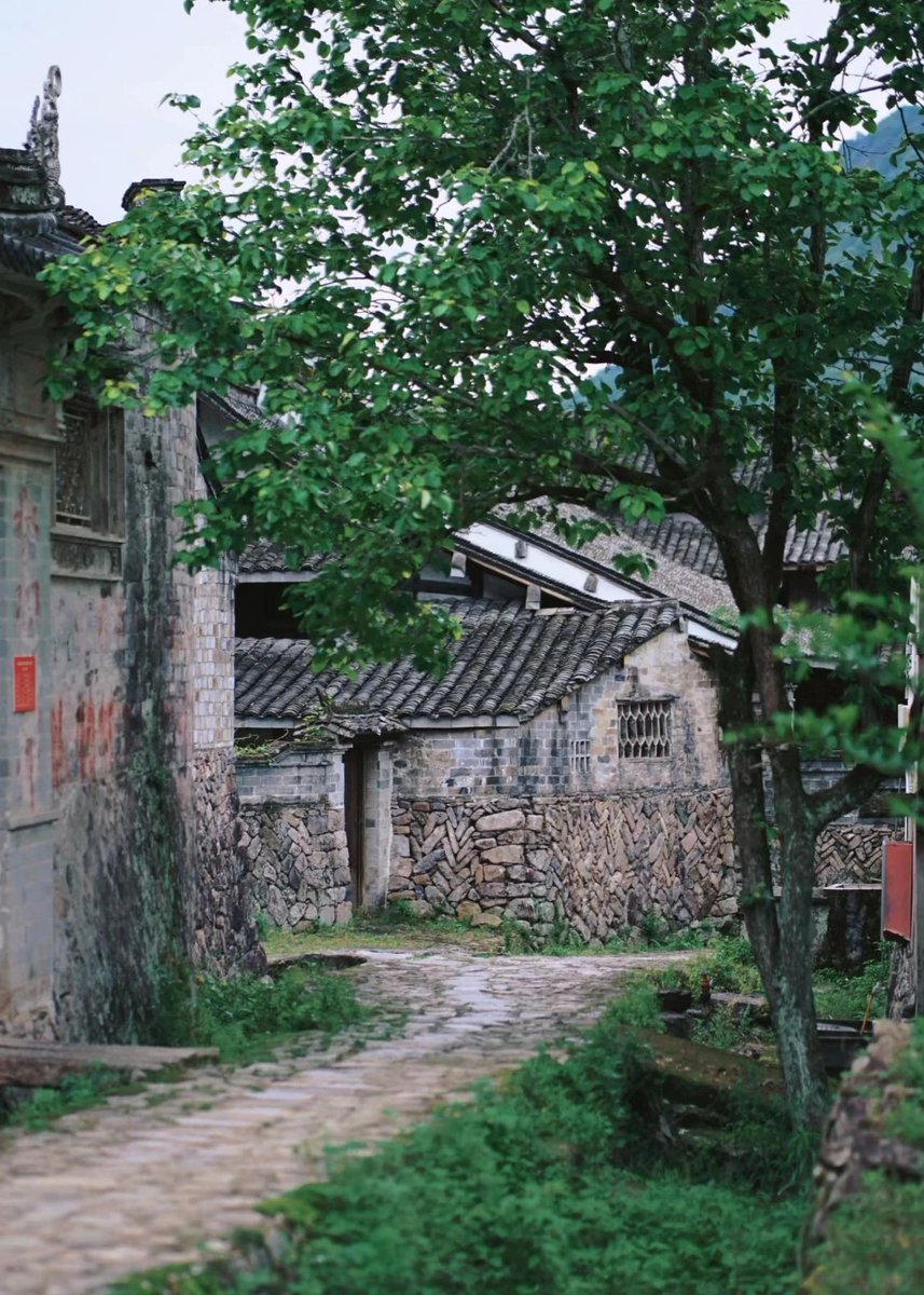 JonathanMampjf's tweet photo. [The serene valley where Chun finally settled, with a peaceful scent of ancient traditions lingering in the air]， https://t.co/7VSRKtRZF8