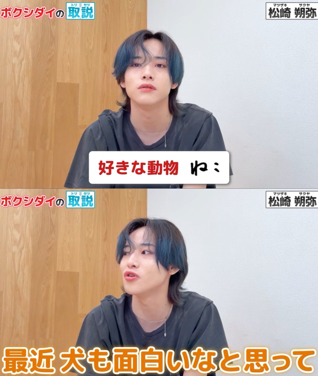 rjsh81's tweet photo. 最近は犬も面白いと思い始めている、
ボクシの不思議な最年長松崎朔弥さんです✨✨✨✨✨ https://t.co/4G0wFrgeVp