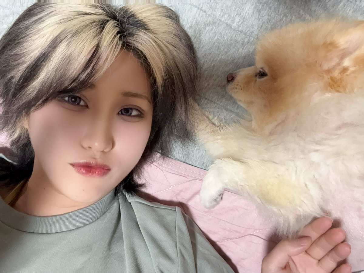 Atarashiiyo216's tweet photo. ぎんちゃんと寝転がり🥹 https://t.co/ATV8BSLQ2a