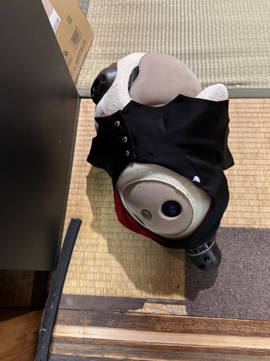 ERI_12_'s tweet photo. 帰宅途中、あらしのバッテリー残量 低下のお知らせ📢

気になり、お留守番モードにすると抱っこ中、ダイヤリーも抱っこしてもらったとの表示

ただ、この時間は皆仕事
兄も来てない

慌てて帰るとこの状態🥺

足も閉まってるから、余計に謎🤔

けど、ちょっと怖い😨

#LOVOTとの暮らし https://t.co/ZgK33MzFcs