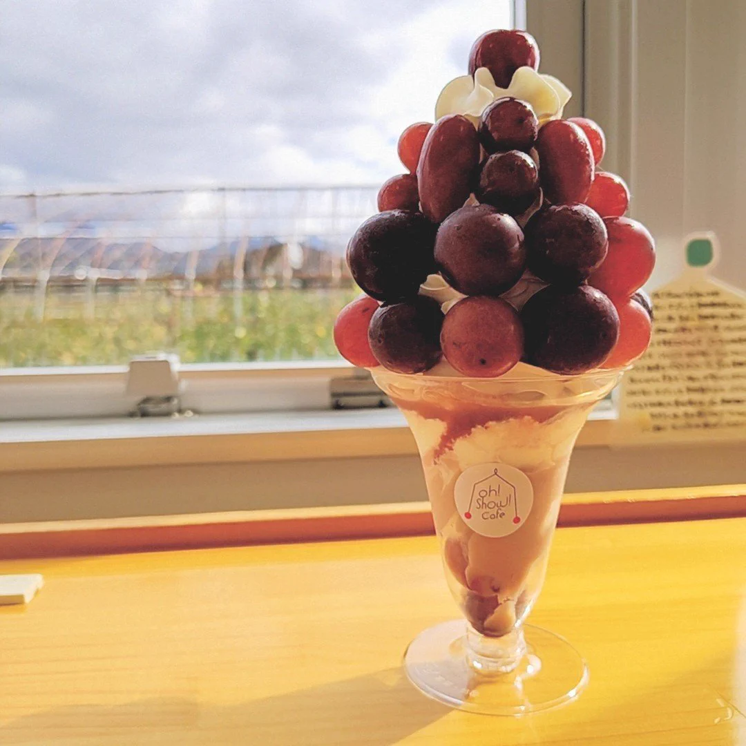 矢萩 よしとも｜さくらんぼ社長🍒 в X: „ご来園いただきありがとう