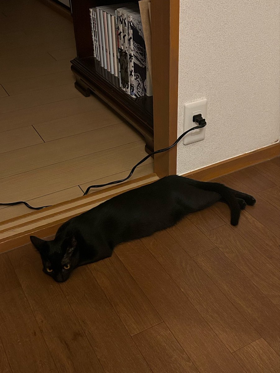 514jih's tweet photo. 🐟？🍤？ https://t.co/tUNgEaL62G