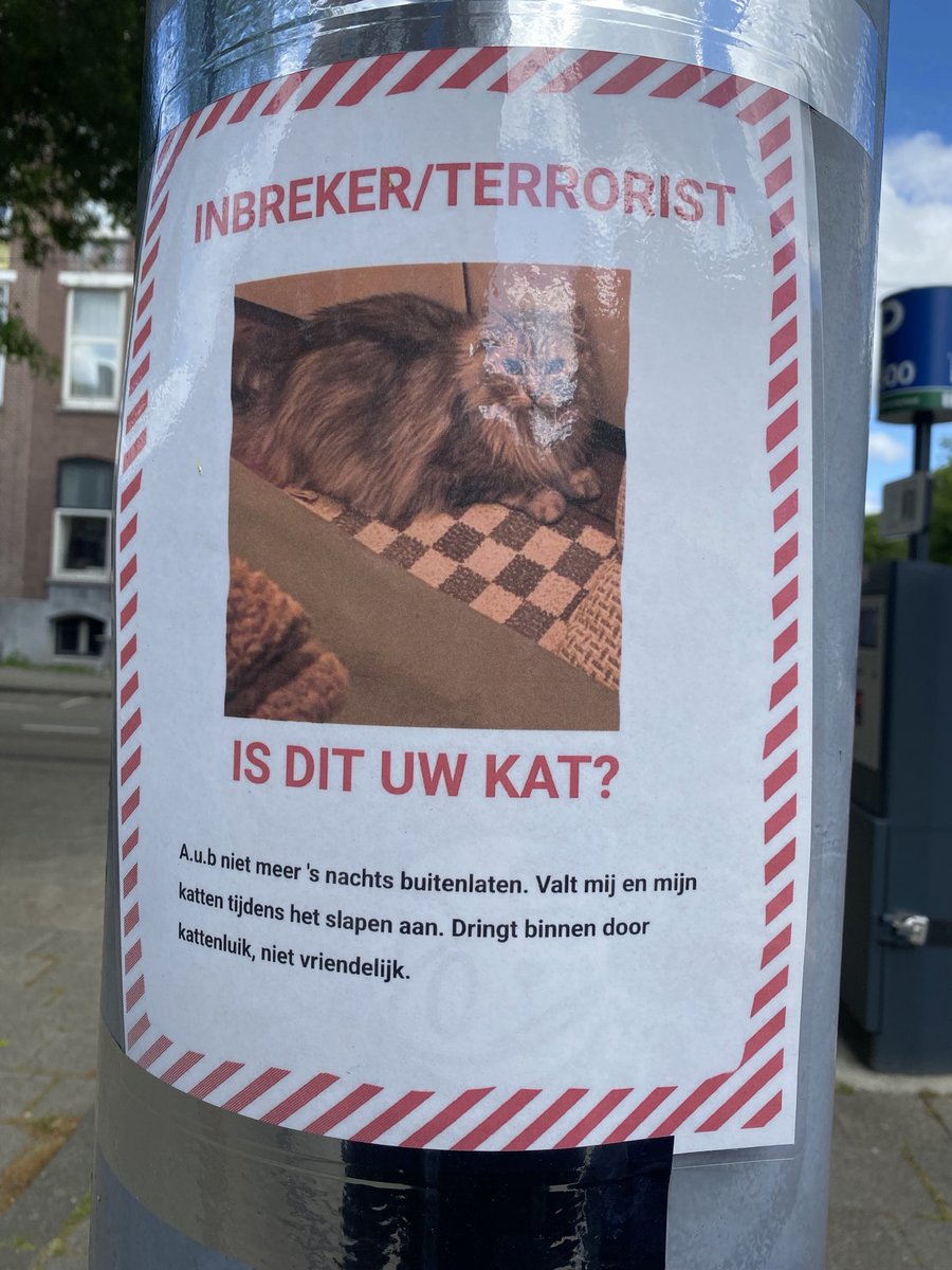 usurydotgov's tweet photo. "Trespasser/Terrorist: Is this your cat? Please don't let it out at night anymore. It attacks me and my cats while we're sleeping. It gets in through the cat flap—not friendly." Den Haag, 2025 https://t.co/fBlxNfrIcE