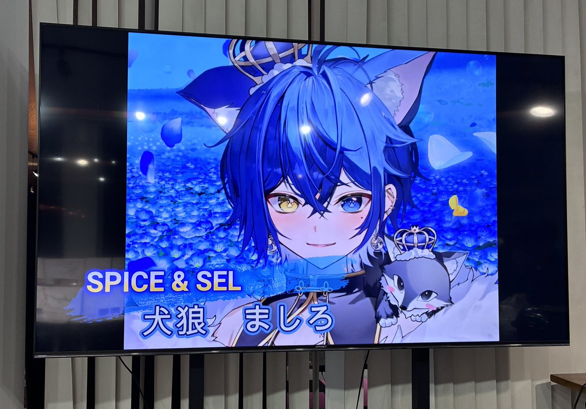 ponchanROM's tweet photo. #Spice5th
#まちろわん見て
動画もみたんだけどね
チェキ会やってるとマイクの音声が店内に響くから映像では何喋ってるかわかんなかったよwwww
タイミング次第w https://t.co/KFJqkpMchr