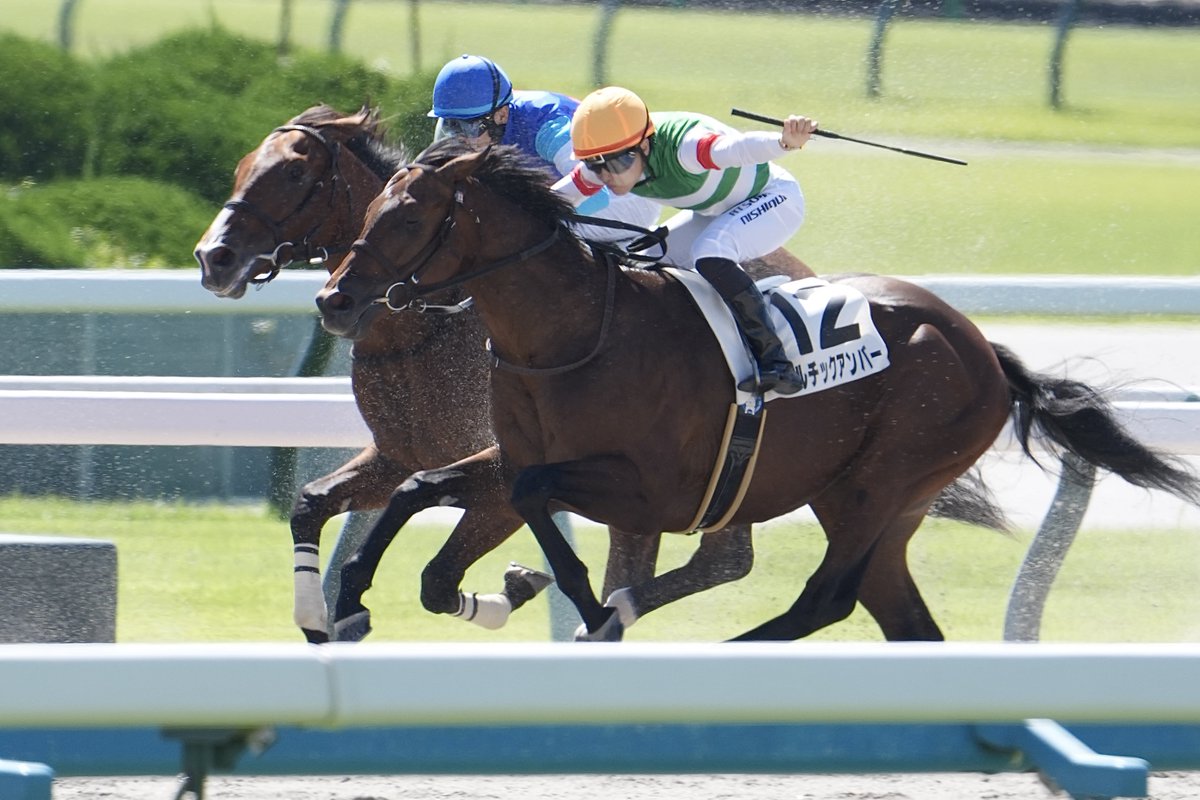 de57802028's tweet photo. 2026/10/03 京都4R 2歳新馬戦
バルチックアンバー &amp; 西村淳也J
(ナダル産駒)
奥村豊厩舎
デビューおめでとう✳︎ https://t.co/dwvQN6wYWL