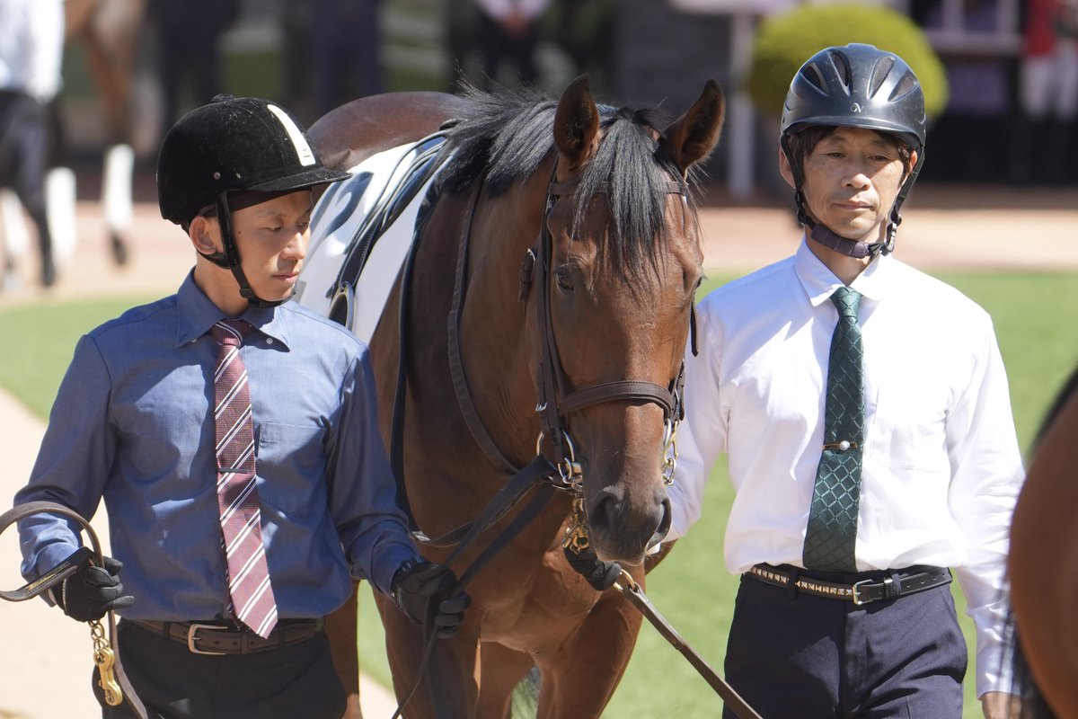 de57802028's tweet photo. 2026/10/03 京都4R 2歳新馬戦
バルチックアンバー &amp; 西村淳也J
(ナダル産駒)
奥村豊厩舎
デビューおめでとう✳︎ https://t.co/dwvQN6wYWL