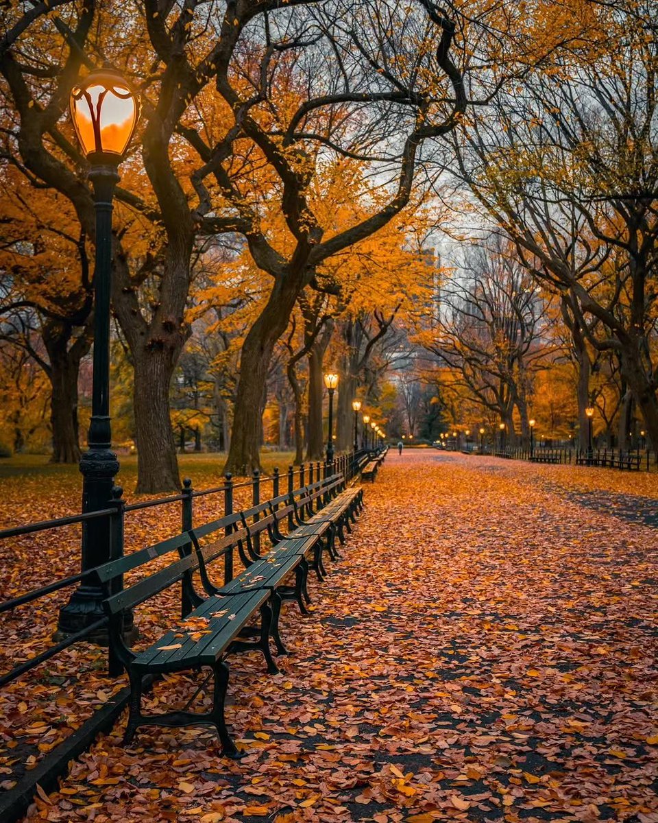 naturebeauty760's tweet photo. Fall in New York 🇺🇸 https://t.co/paefPTOdh7