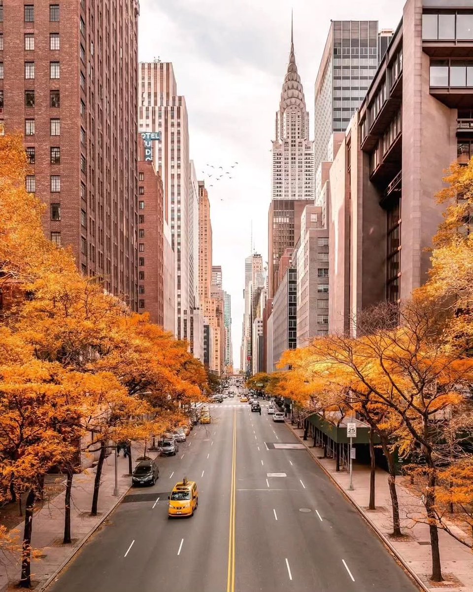 naturebeauty760's tweet photo. Fall in New York 🇺🇸 https://t.co/paefPTOdh7