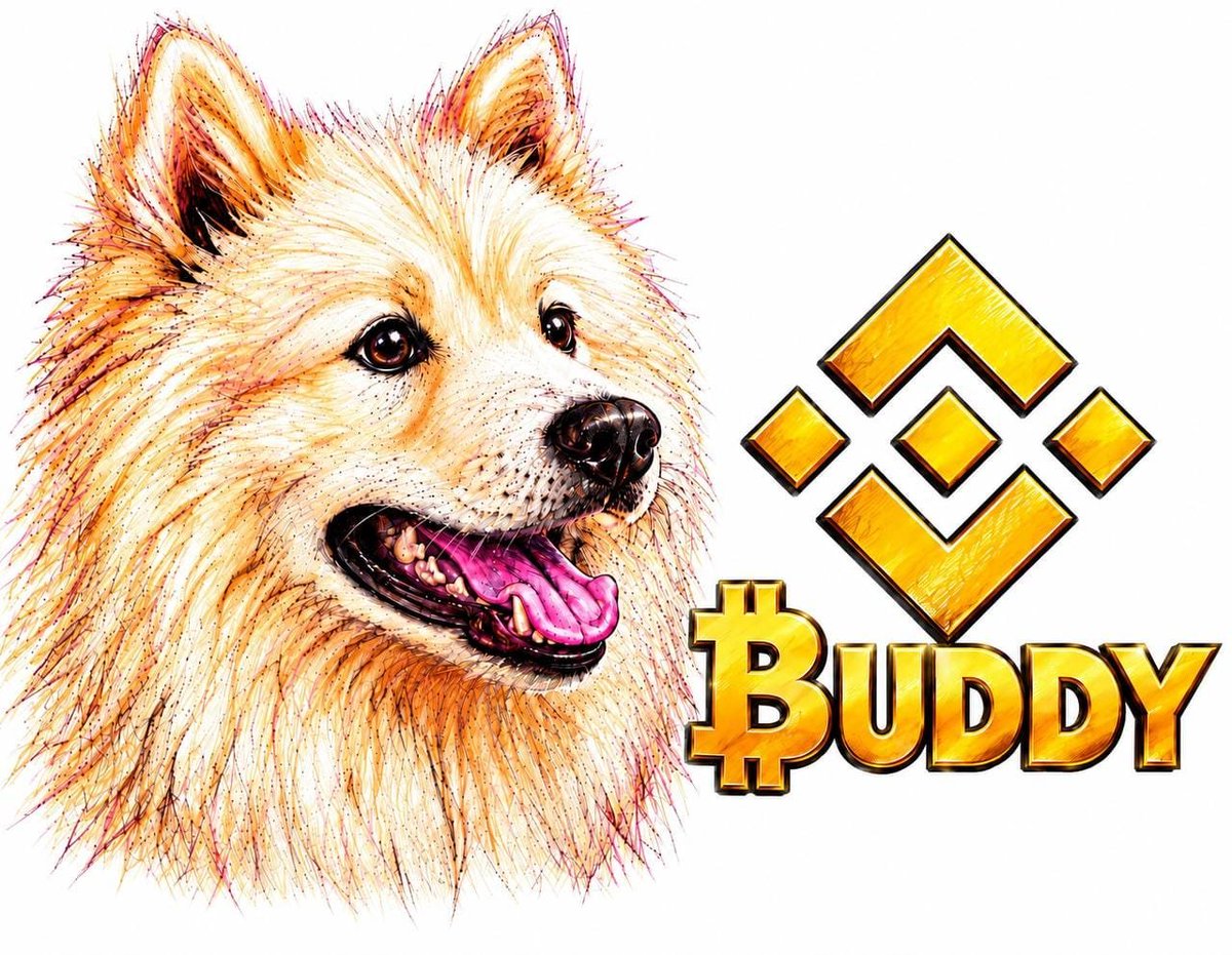 jonahryjf's tweet photo. @tvbzify A sick rescue dog.
A stuck donation.
A permanent message.
$BUDDY  real story, real dog.
Ca:
0x4E0026B2A27F60CD7eD8BB71F9489501B1F87777
@BuddyonBNB https://t.co/wAK2V1Z6TV