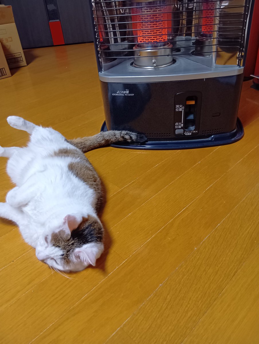 0413chitose's tweet photo. そろそろストーブ消そうかなと思ったら、くーがストーブの前でくつろぎ始めたのでまだ消せない😆

可愛い🥰 https://t.co/xLvgeTC7rO