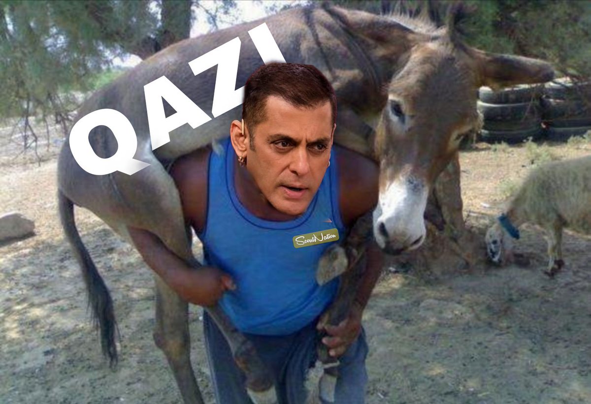 Im_Introvert17's tweet photo. Salman Bhai In Every WKW This Season 😂

#ScoutOP #BiggBoss20 #BB20 https://t.co/d0H1B1wAQa