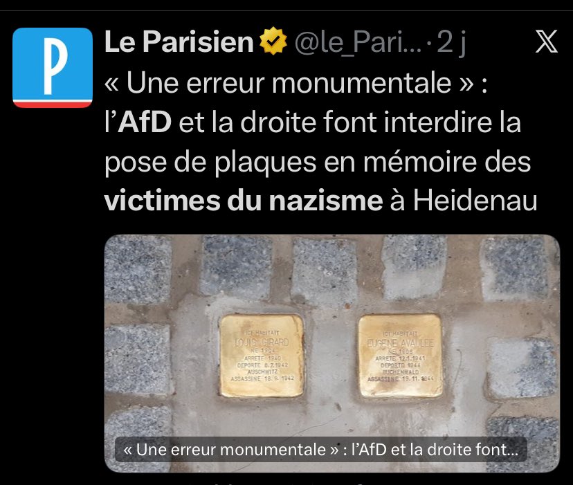 BMoon_bee's tweet photo. Deux actualités qui se percutent dans ma TL !

🇩🇪AfD- 🇫🇷RN : Le vrai visage des néo nazis antisémites au pouvoir sous le vernis de la normalisation de l’extrême droite ( soutenue par les médias, l’extrême centre macroniste et les droites .) https://t.co/qjtWTAzZoo