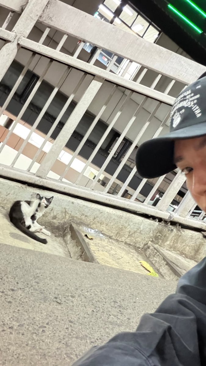taeyongpictures's tweet photo. taeyong stories with the kitty  🐈‍⬛ https://t.co/CEmmnTAfxb