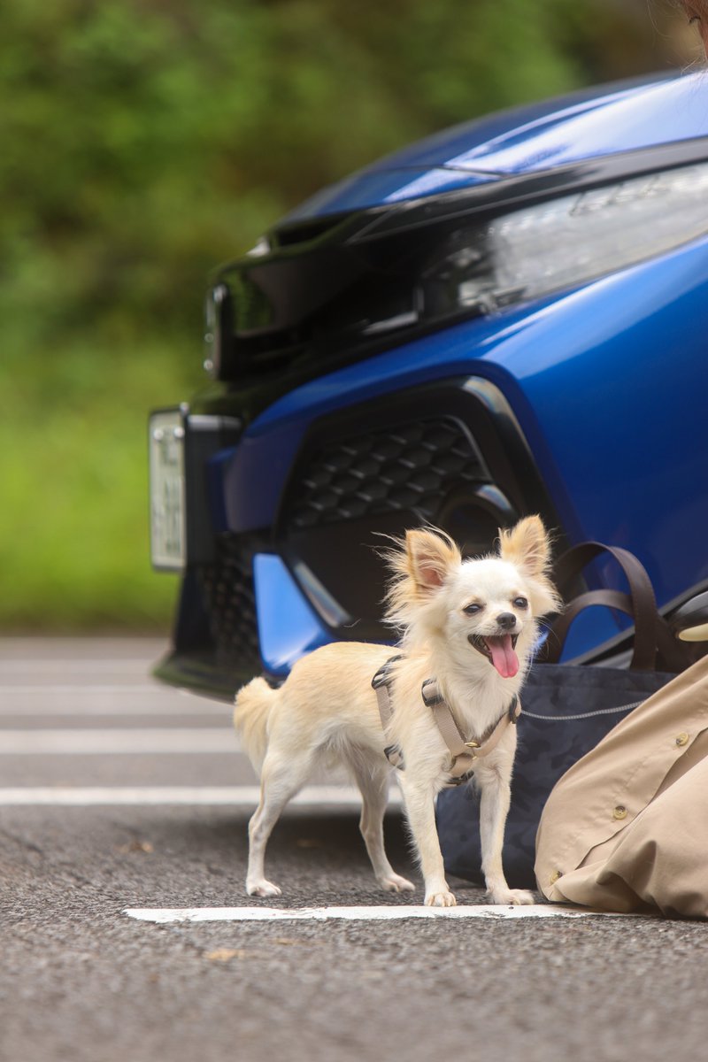 fk7_punch's tweet photo. #9月を写真４枚で振り返る

自由の女神像、びゅうお、愛犬、大井川鐡道
愛車と共に https://t.co/oAPYNkRI2M