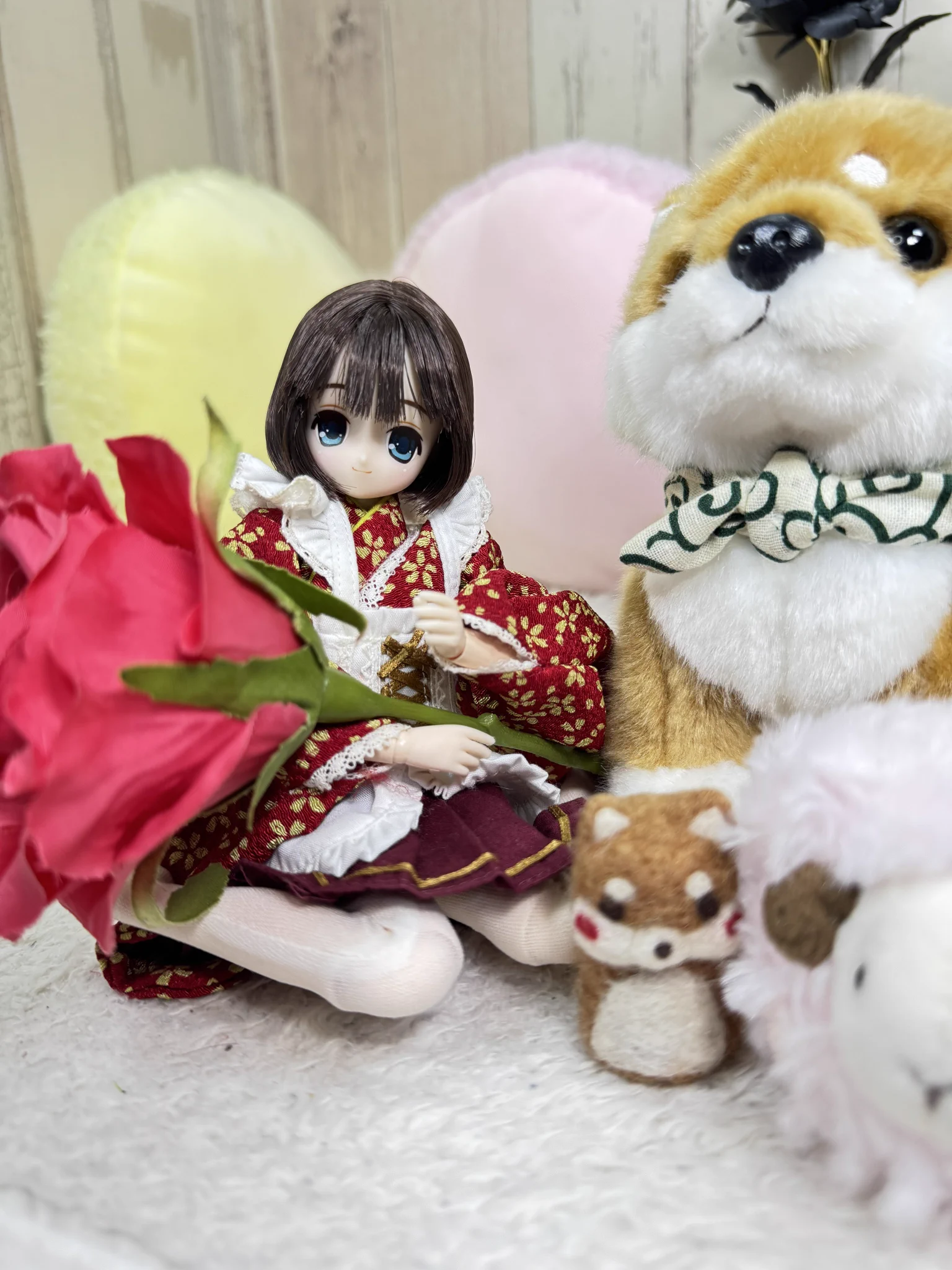 くまきち on X: 
