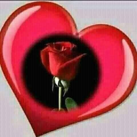 brjidid's tweet photo. @hslmy394 https://t.co/gxNzH1yvui