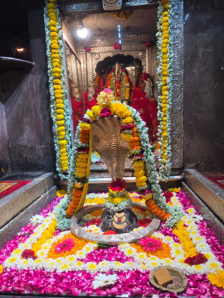 12Jyotirling's tweet photo. श्री ॐकारेश्वर ज्योतिर्लिंग संध्याकालीन आरती श्रृंगार | 03.10.2026

Shri Omkareshwar Jyotirlinga Evening Aarti Shringar | 03.10.2026 https://t.co/tiSZ8ykfWf