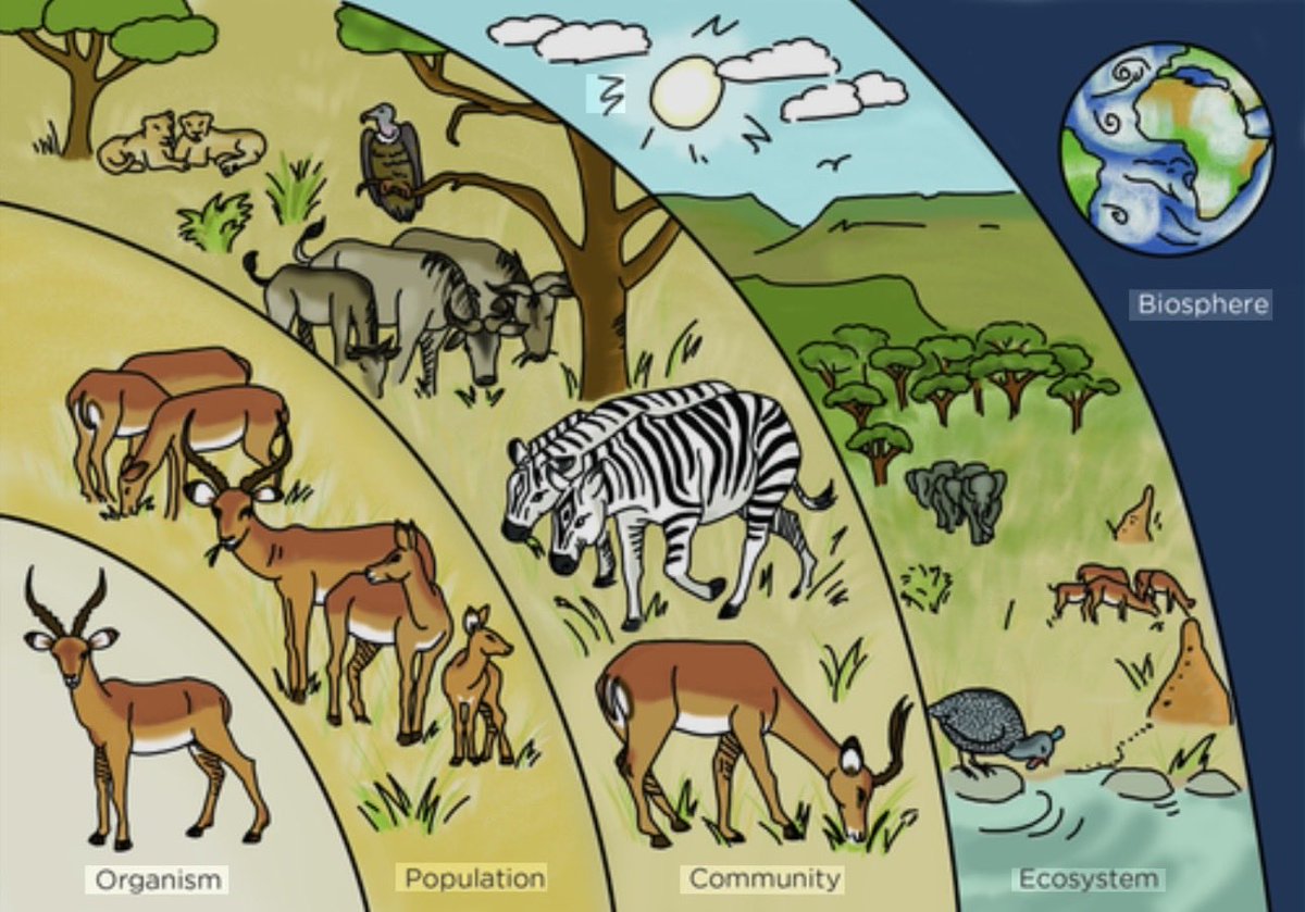 AreionLLC's tweet photo. Every habitat is an environment, but not every environment is a habitat #levelsofleadership https://t.co/yknh3TocZ2