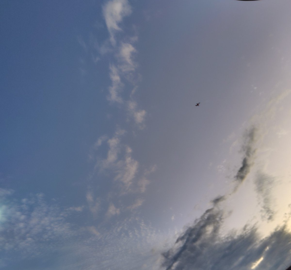 asamotoaki's tweet photo. しばらく雨が降り続いて気づかなかったけれども、いつのまにか暗くなるのが早く。
十月ですね。

ひさしぶりの乾いた風もここちよく、
今週もおつかれさまでした。 https://t.co/y2zDKrhBCb