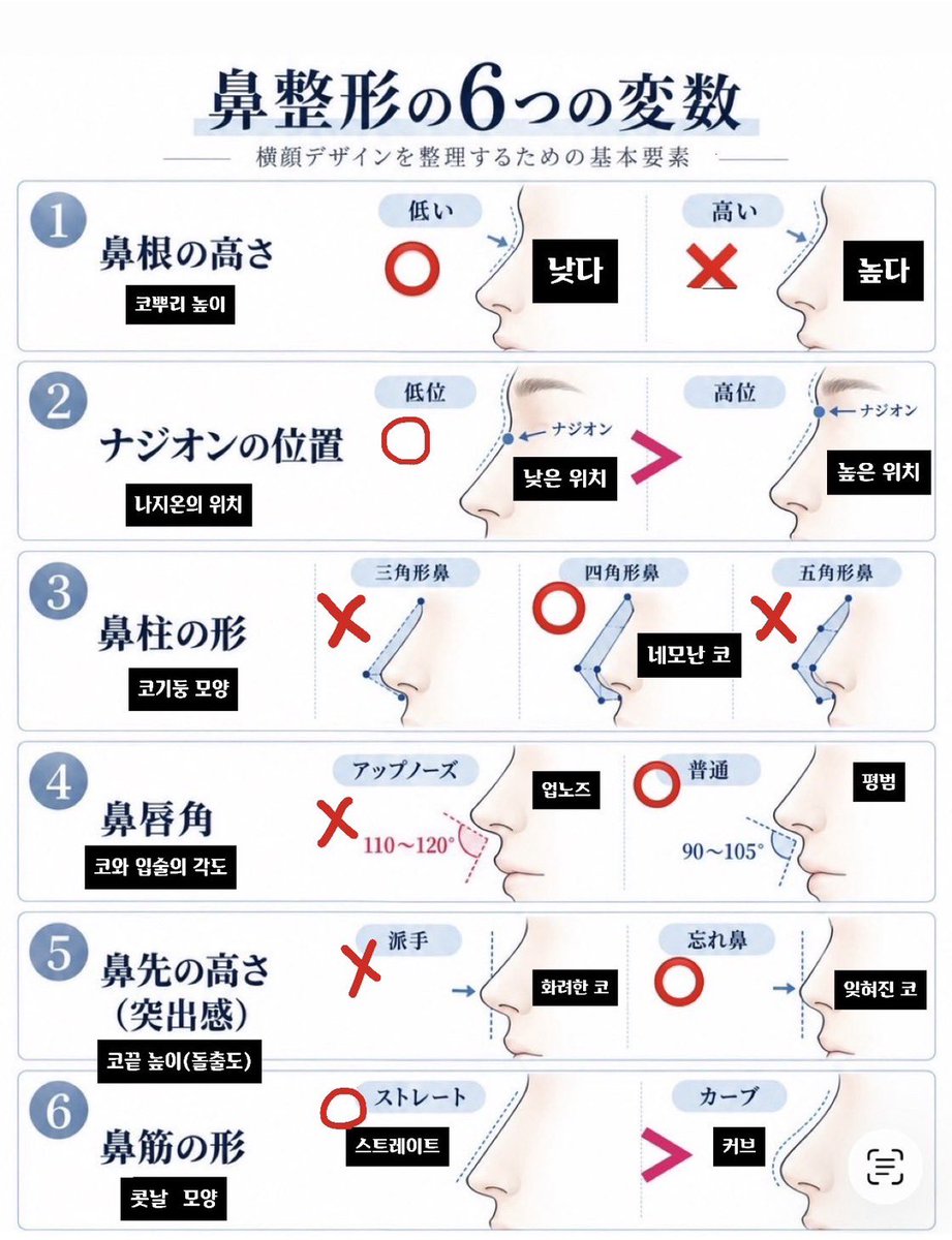 Nhhblj's tweet photo. 鼻整形のカウンセリングで用意した資料⬇️ https://t.co/LbMGxxsc91