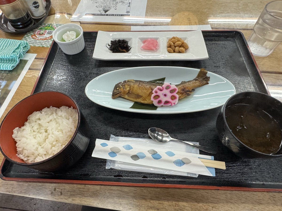 TooboyLime009's tweet photo. 本日の滝巡りの帰り道に
道の駅美濃にわか茶屋にて食事。
たまにはその土地の物をと
鮎の甘露煮定食を。
(滝巡り最中に板取川で鮎釣り人を目撃したのも誘導されたかも)

かなり久しぶりな鮎甘露煮でしたが、うまうまでした😆

良いおでかけ　でした🫡 https://t.co/2qMZLod0Qz