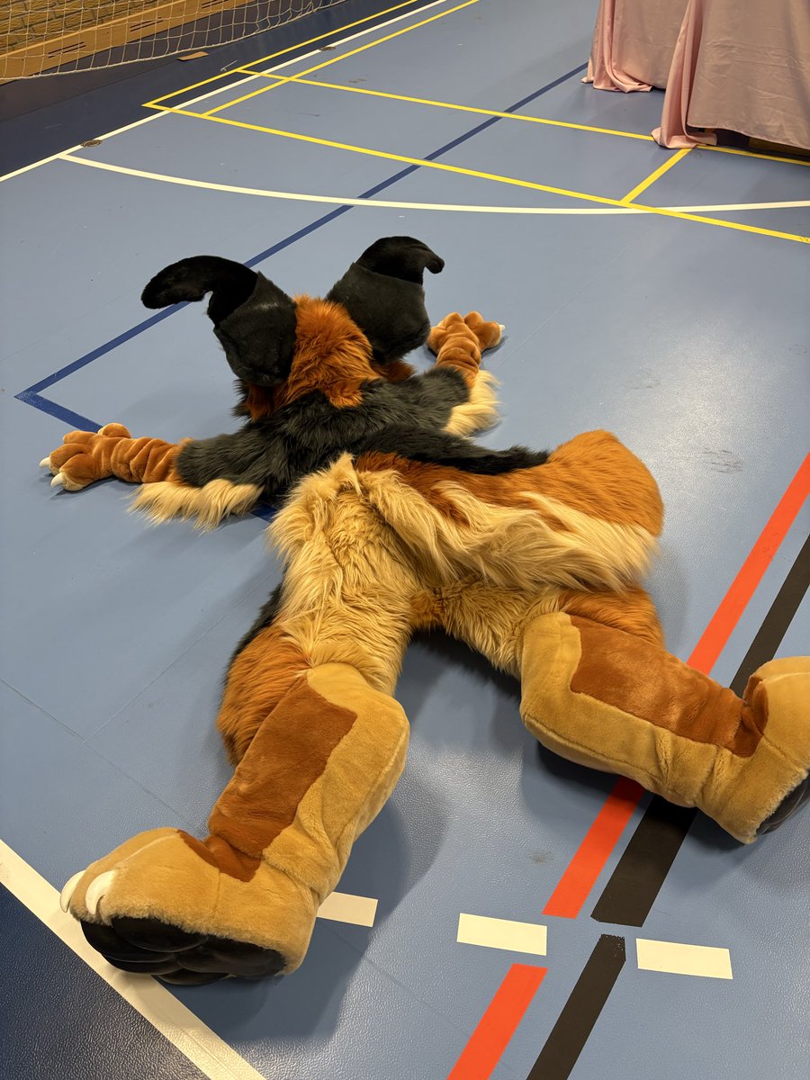 Flip_gshep's tweet photo. Søstjerne-maxxing 

#furry #fursuit https://t.co/JUhfvknrSP