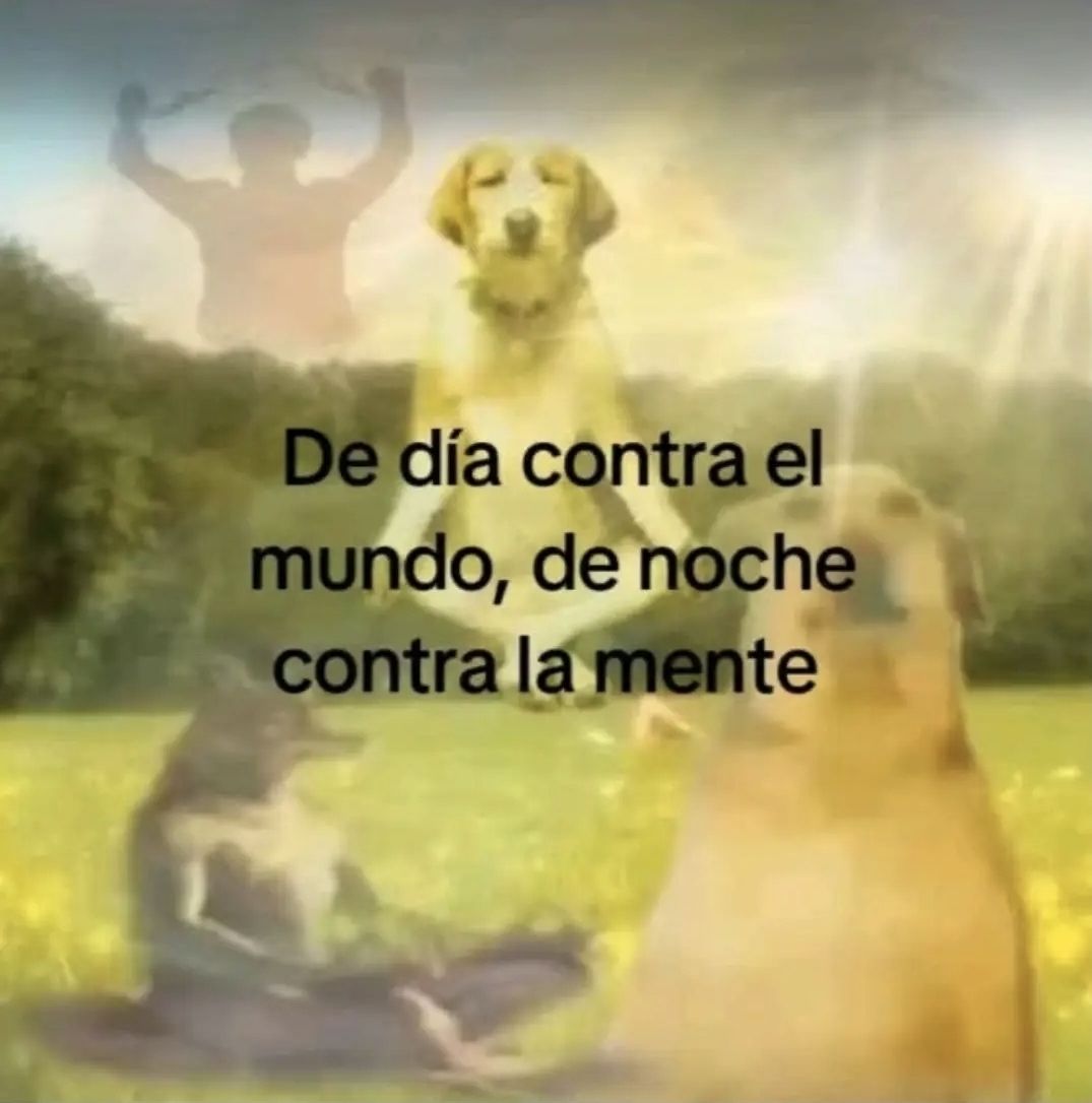 wikipistacho's tweet photo. https://t.co/v6kQ2zKg2q