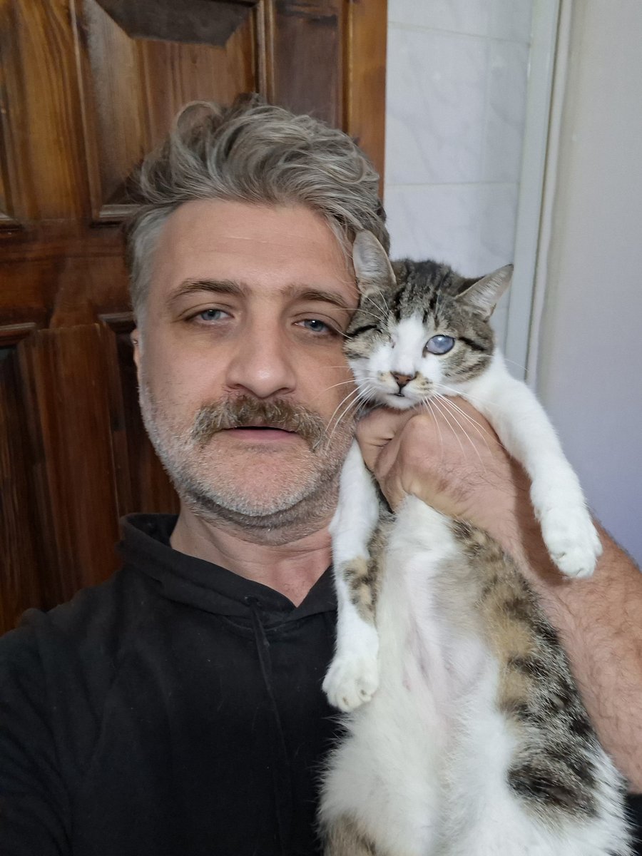 chandlerbingiz's tweet photo. Görme engelli bu kız 1 sene veteriner kafesinde beklemiş, haftalardır da bu banyoda yuvasını bekliyor. 1buçuk yaş civarında kısır.  Ömürlük yuvasını arıyoruz. İstanbul.. https://t.co/h7dWX0G4Gt
