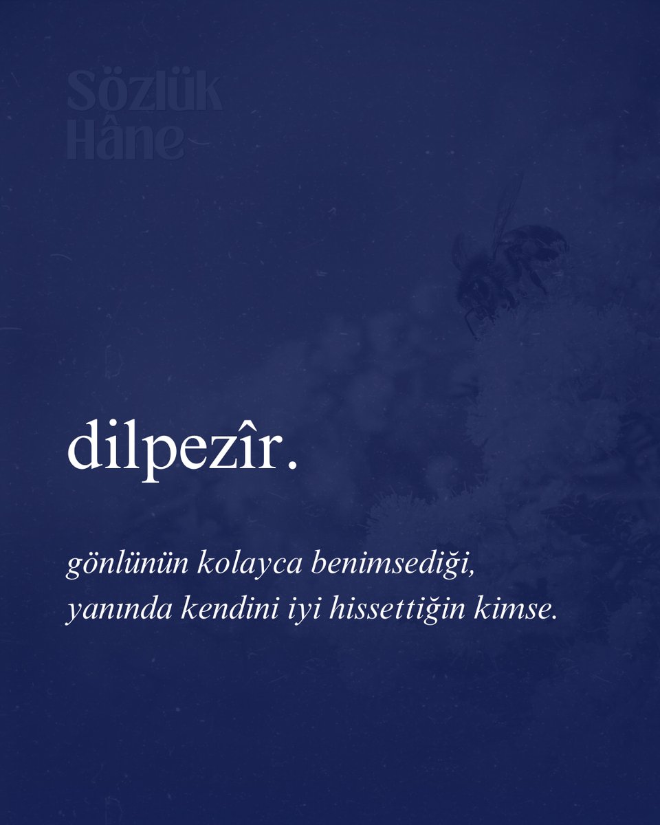 sozlukhane's tweet photo. https://t.co/Hb3mbd6d7Q
