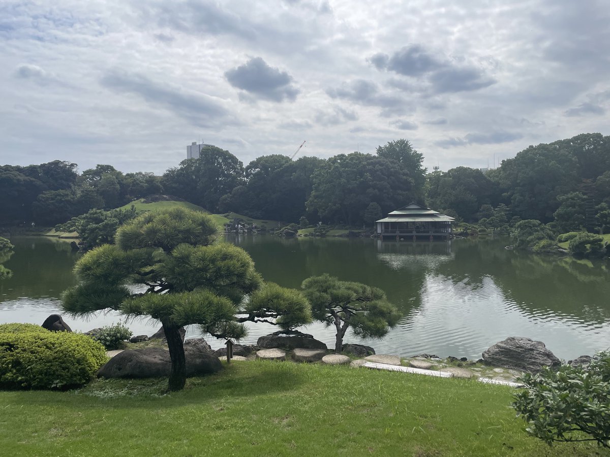 S091124M's tweet photo. やっと秋らしい穏やかな日🍂
清澄庭園のカメ人懐こい近く通ったら挨拶しに来てくれた https://t.co/SwtziKIkgF