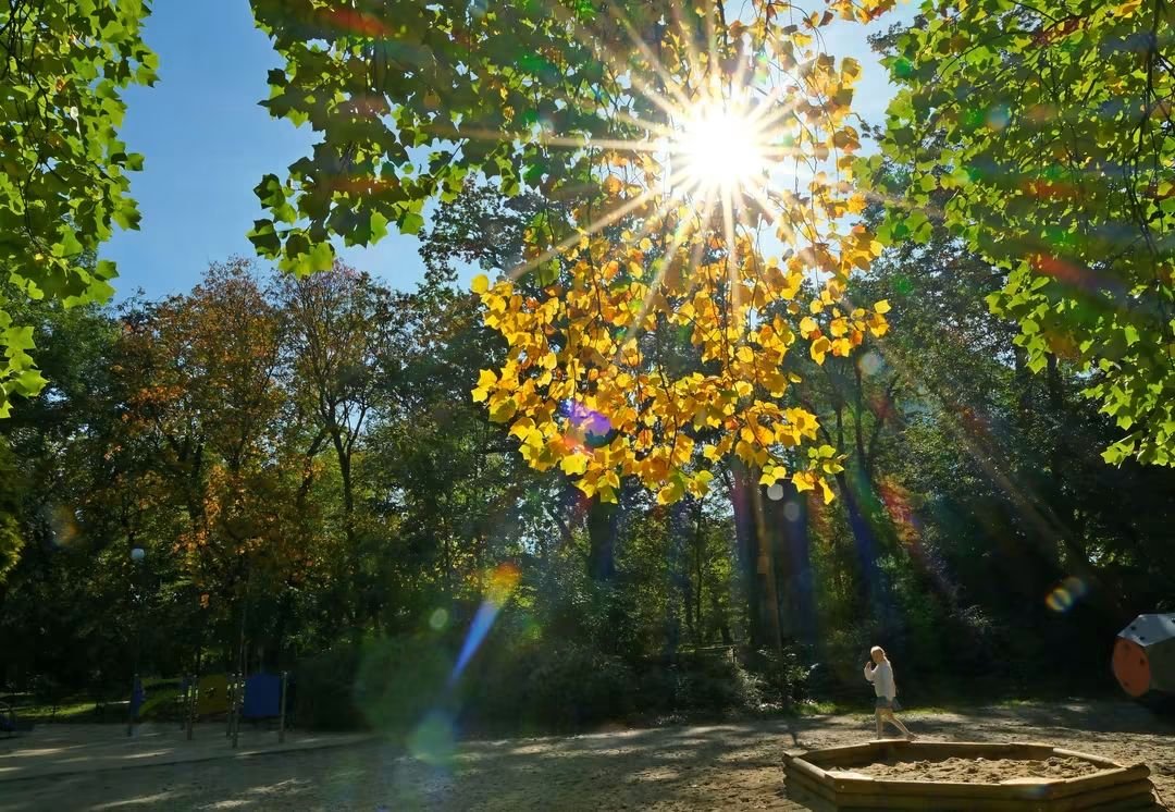 Miasto_Lublin's tweet photo. Dziś #DzienKasztana 🌰🍂 To dobry pretekst, żeby wybrać się na jesienny spacer po #MiastoLublin. Parki, skwery i alejki pełne kolorowych liści czekają. Może po drodze uda się znaleźć kilka kasztanów? 😊 Miłego spacerowania.
#LublinCity #Jesien #Kasztan https://t.co/de1w3WxLsA
