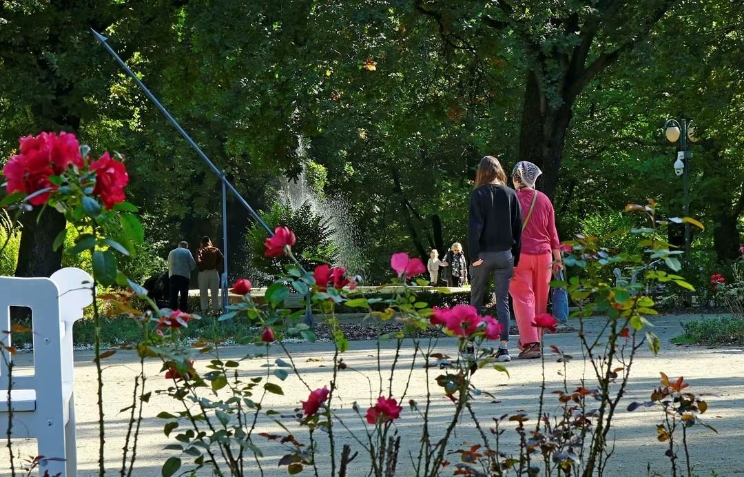 Miasto_Lublin's tweet photo. Dziś #DzienKasztana 🌰🍂 To dobry pretekst, żeby wybrać się na jesienny spacer po #MiastoLublin. Parki, skwery i alejki pełne kolorowych liści czekają. Może po drodze uda się znaleźć kilka kasztanów? 😊 Miłego spacerowania.
#LublinCity #Jesien #Kasztan https://t.co/de1w3WxLsA