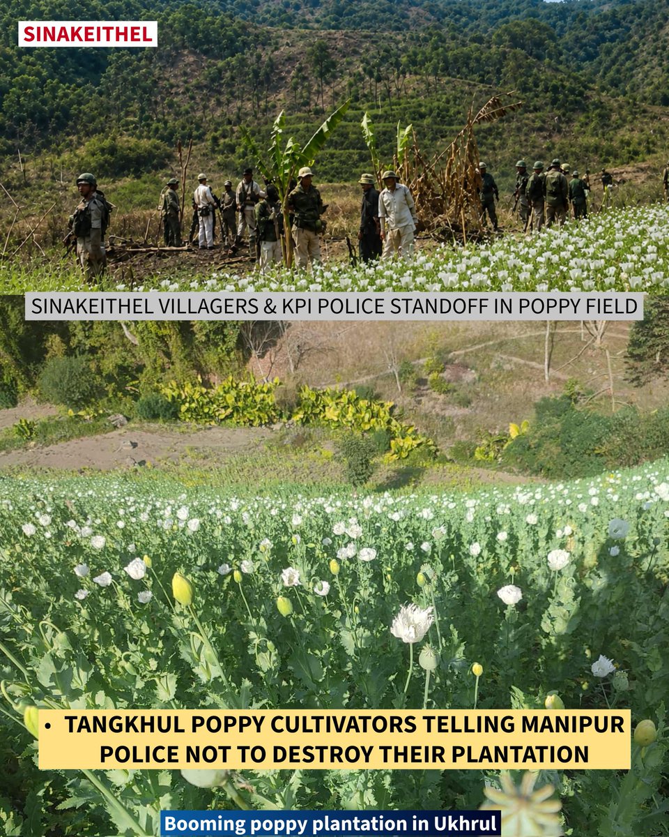 ElizabethMv76's tweet photo. DID YOU KNOW? Ukhrul and Kamjong’s poppy cultivation is run by Naga narco-terrorist group NSCN (IM). https://t.co/OPCyMOPEqc